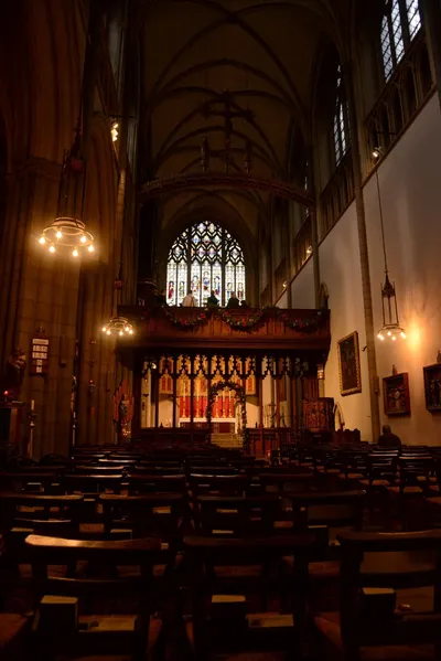 DSC_6131 (Large).JPG